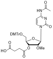 2'-OMe-C(Ac)-3'-succinate