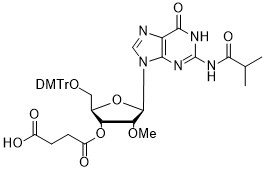 2'-OMe-G(ibu)-3'-succinate