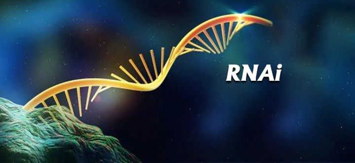RNA interference (RNAi)