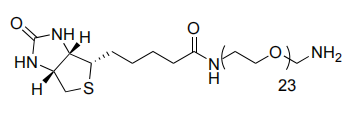 Biotin-PEG11-Amine