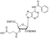 rA(Bz)-3'-succinate