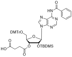 rA(Bz)-3'-succinate