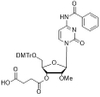 2'-OMe-C(Bz)-3'-succinate
