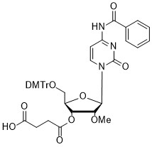 2'-OMe-C(Bz)-3'-succinate