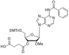 2'-OMe-A(Bz)-3'-succinate