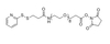 SPDP-PEG8-NHS ester