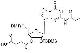rG(ibu)-3'-succinate