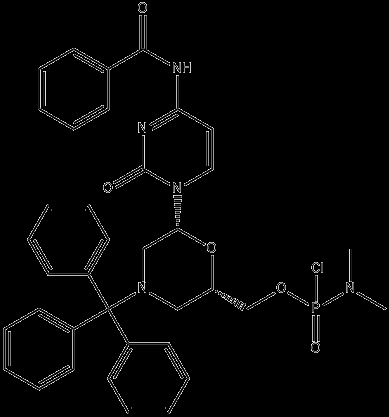 Morpholino C subunit