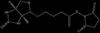 Biotin NHS