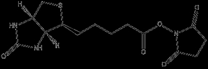 Biotin NHS