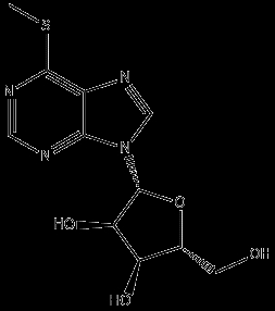6-Methylmercaptopurine Riboside