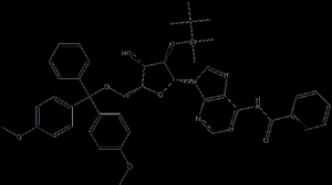 5'-O-DMTr-2'-O-TBDMS-rA(Bz)