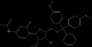 5'-O-DMTr-2'-OMe-rC(Ac)