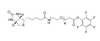 Biotin-PEG4-PFP ester