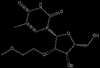 2'-O-MOE-5-Me-rU