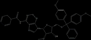 5'-O-DMTr-2'-O-Me-rA(Bz)