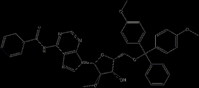 5'-O-DMTr-2'-O-Me-rA(Bz)