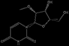 2'-OMe Uridine