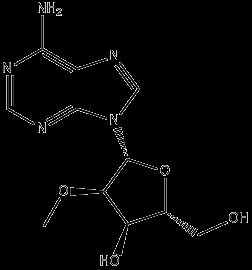 2'-OMe Adenosine
