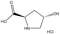 white powder custom pharmaceutical Trans-4-hydroxy-d-proline Hydrochloride