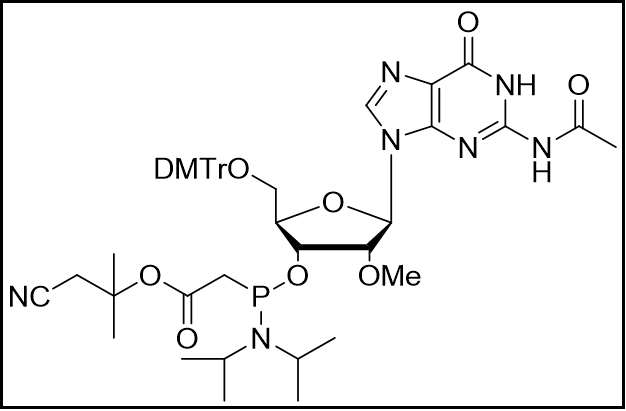 DMTr-2-OMe-G(Ac) PACE amidite