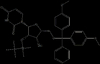 DMT-2'-O-TBDMS-Ur