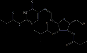 2',3'-di-O-iBu-rG(iBu)