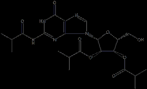 2',3'-di-O-iBu-rG(iBu)