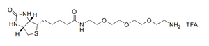  Biotin-PEG3-NH₃+TFA-