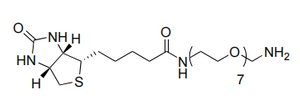 Biotin-PEG7-NH2