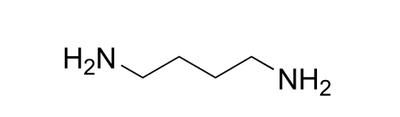 particlesphy sicochemical synthesis 1,4-DIAMINOBUTANE