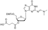 2'-dG(dmf)-3'-succinate