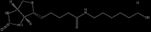N-(+)-Biotinyl-6-aminohexanoic acid
