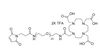 DOTA-tris(acid)-amido-PEG23-Maleimide