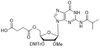 3'-ODMTr-2'-OMe-G(ibu)-5'-succinate