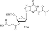 2'-dG(ibu)-3'-succinate, TEA salt