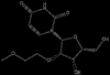 2’-O-Methoxyethoxy uridine