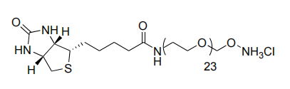 Biotin-PEG-oxyamine. HCl