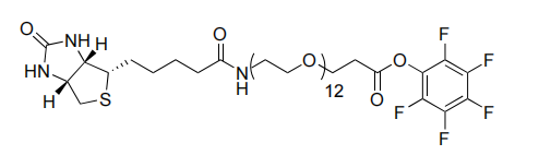 Biotin-PEG12-PFP ester