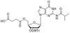 3'-ODMTr-2'-dG(ibu)-5'-succinate