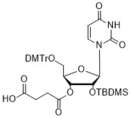 rU-3'-succinate