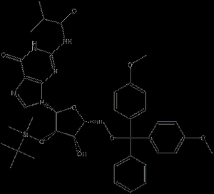 5'-O-DMT-2'-O-TBDMS-N2-ibu-rG