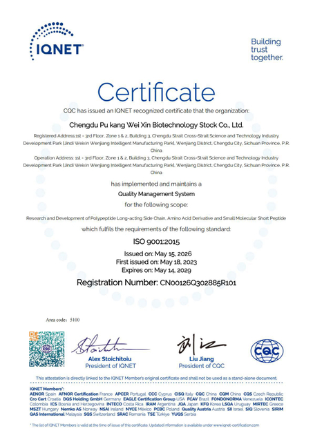 ISO9001